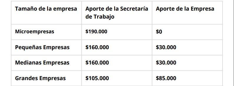 Recuerdan a las empresas la vigencia de programas diseñados para la competitividad, promover el empleo y fomentar la capacitación imagen-2