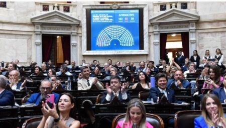 Diputados: el oficialismo logró darle media sanción a la suspensión de las PASO imagen-13