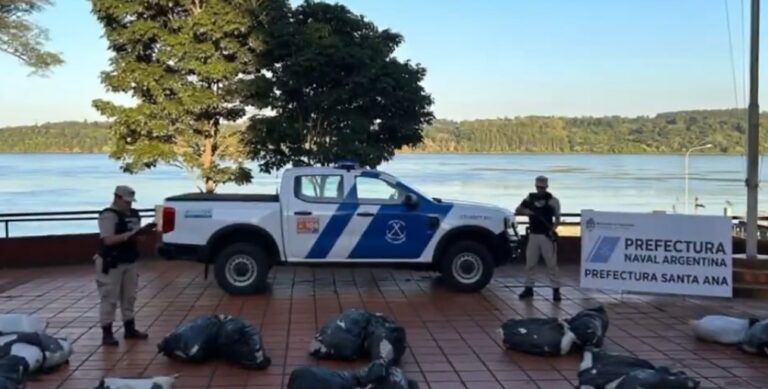 Secuestran cerca de 300 kilos de marihuana en un operativo en Santa Ana imagen-33