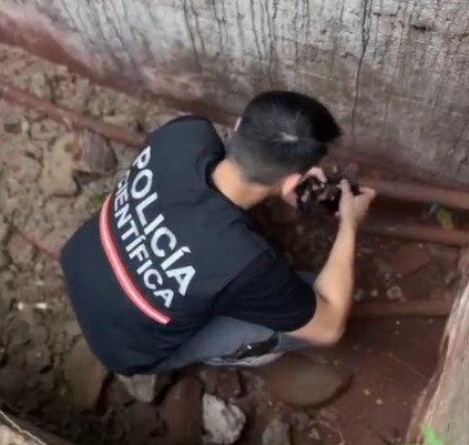 Vandalismo, riesgo y pérdidas: tras 14 horas de trabajo se normalizó la línea que afectó a 25 mil vecinos de Puerto Iguazú imagen-5