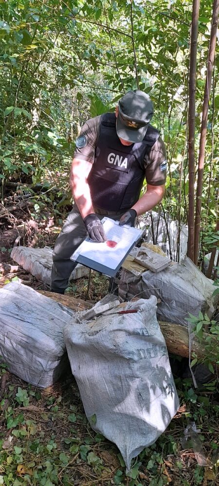 Incautan marihuana que escondían en el monte imagen-5