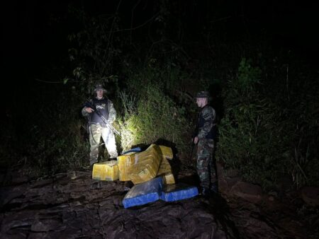 Incautan 245 kilos de marihuana en Misiones imagen-3