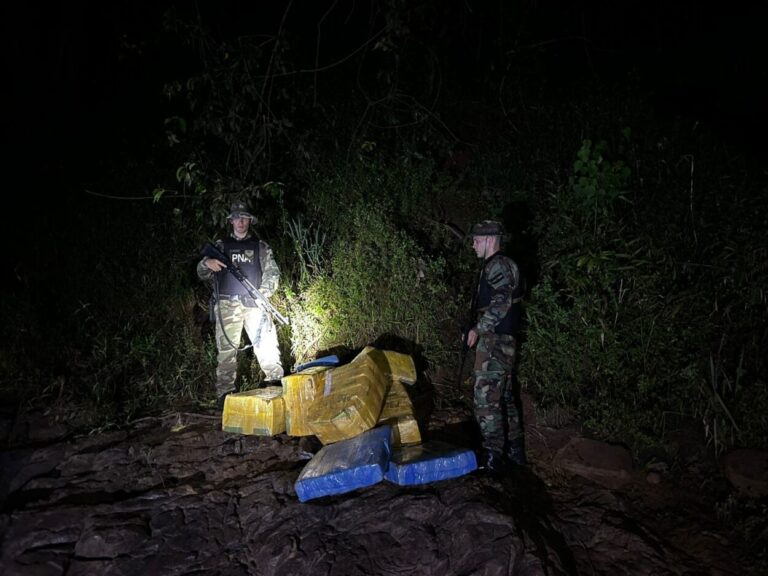 Incautan 245 kilos de marihuana en Misiones imagen-18