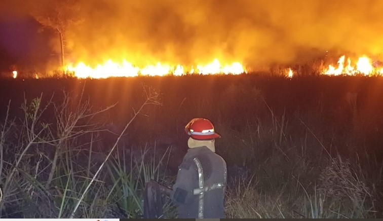 Heroísmo al extremo: Bombero quiso salvar a compañera cuando combatían incendio y perdió la vida imagen-6