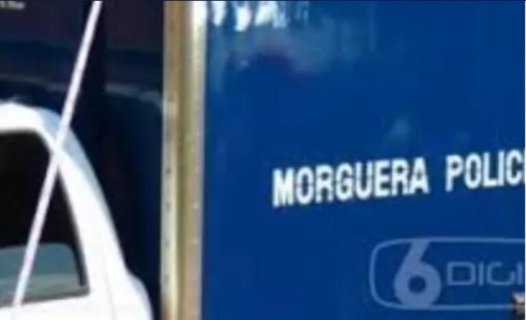 Murió electrocutado al tocar una heladera imagen-32