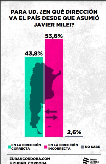 Encuesta: el 67,8% considera que el Estado debería garantizar la igualdad de oportunidades de los ciudadanos imagen-22