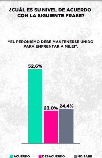 Encuesta: el 67,8% considera que el Estado debería garantizar la igualdad de oportunidades de los ciudadanos imagen-32