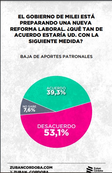 Encuesta: el 67,8% considera que el Estado debería garantizar la igualdad de oportunidades de los ciudadanos imagen-36