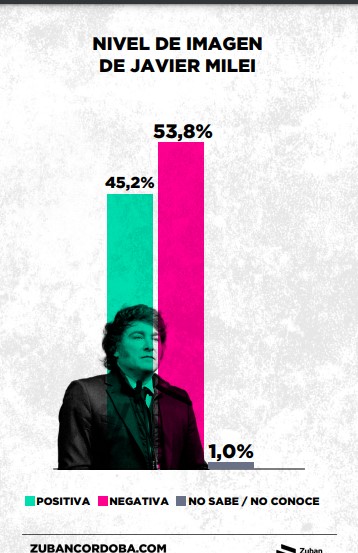 Encuesta: el 67,8% considera que el Estado debería garantizar la igualdad de oportunidades de los ciudadanos imagen-26