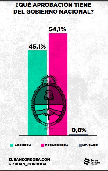 Encuesta: el 67,8% considera que el Estado debería garantizar la igualdad de oportunidades de los ciudadanos imagen-24