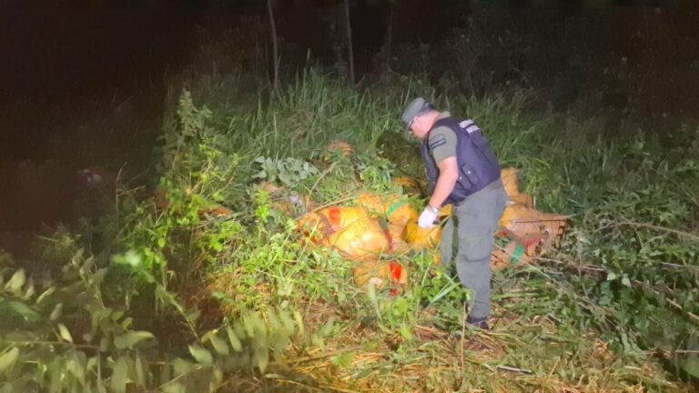 Descubren más de 1.220 kilos de marihuana ocultos en una zona de monte imagen-38