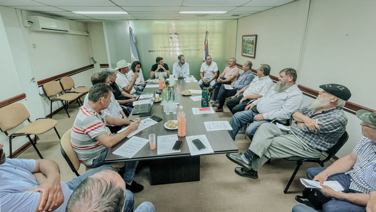 Yerba Mate: se conformó la Mesa Permanente con la participación de los diferentes eslabones de la cadena productiva imagen-8