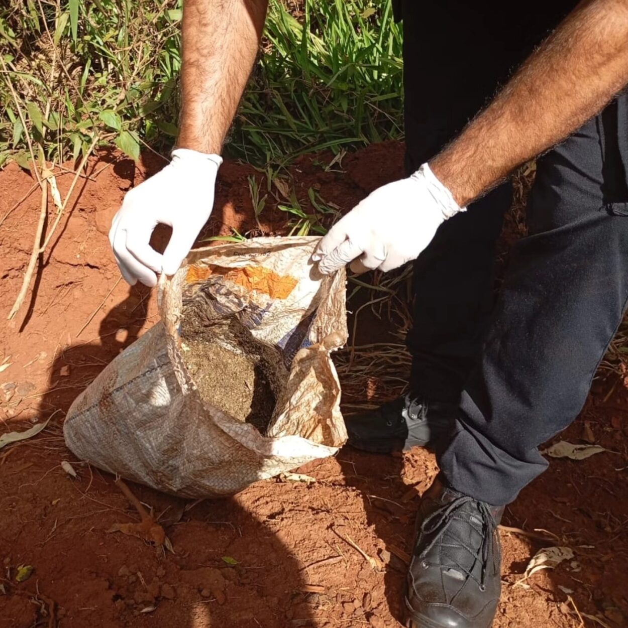 Cinco personas arrestadas, marihuana y armas de fuego secuestradas en operativos preventivos imagen-6