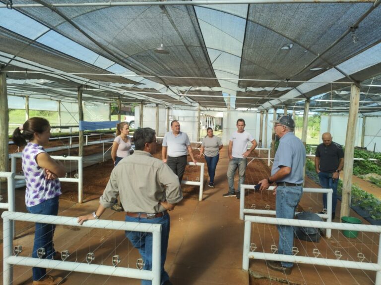 Impulsan emprendimiento de pulpas de frutas congeladas en la zona de San Javier imagen-14