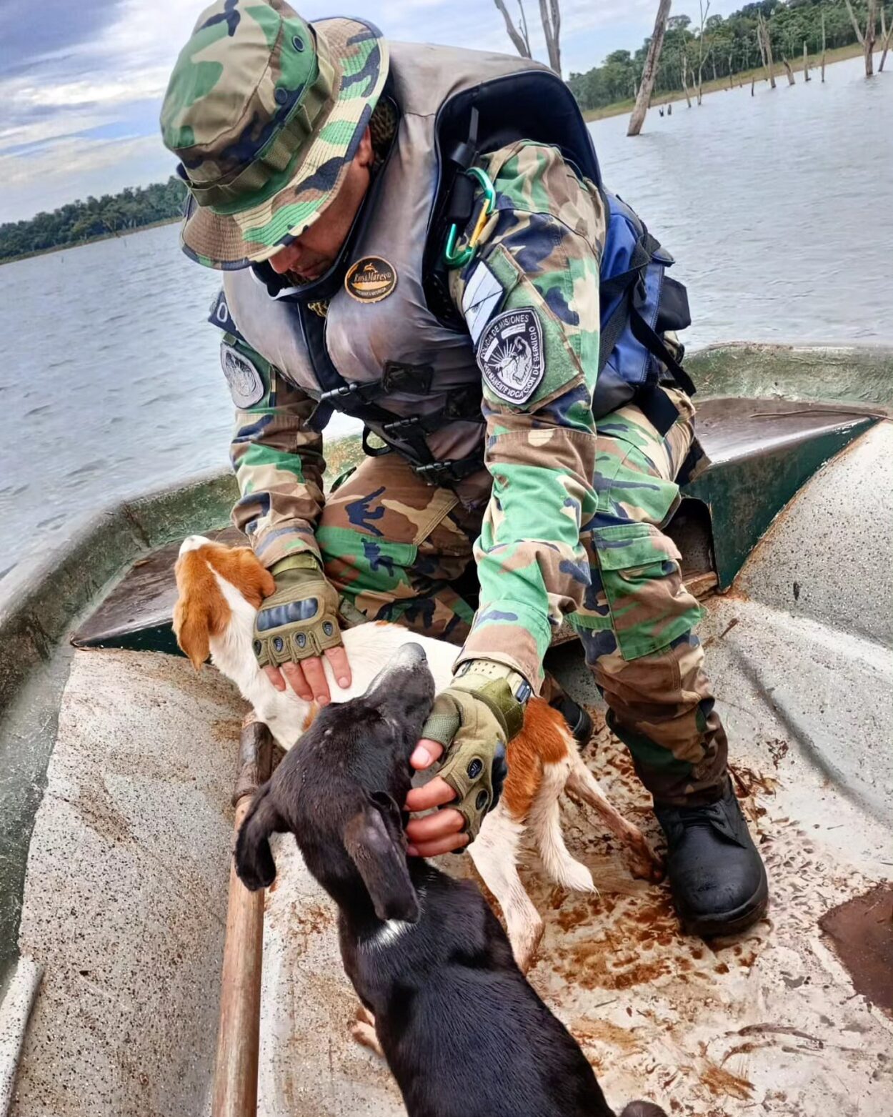 Policías de medio ambiente rescataron perros abandonados por cazadores en un islote imagen-14