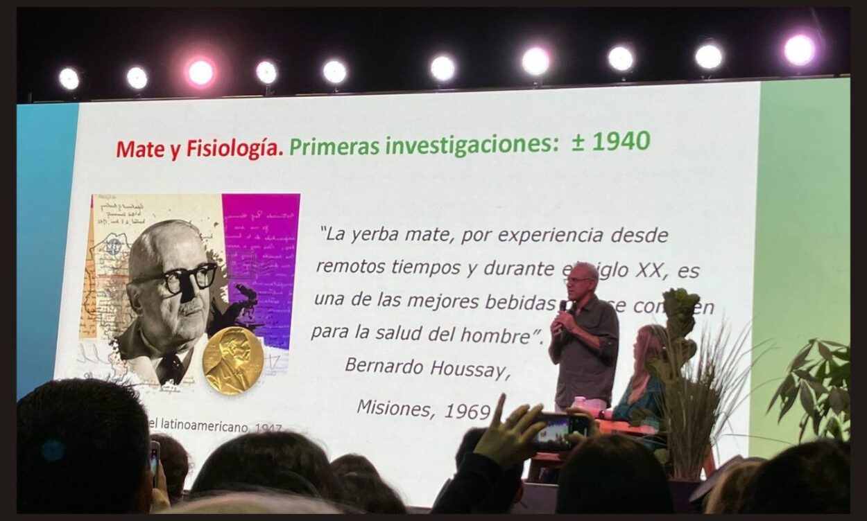 Houssay, el científico que puso a la Argentina en lo más alto de la ciencia mundial, fue el primero en estudiar los efectos de la Yerba Mate en la salud imagen-6