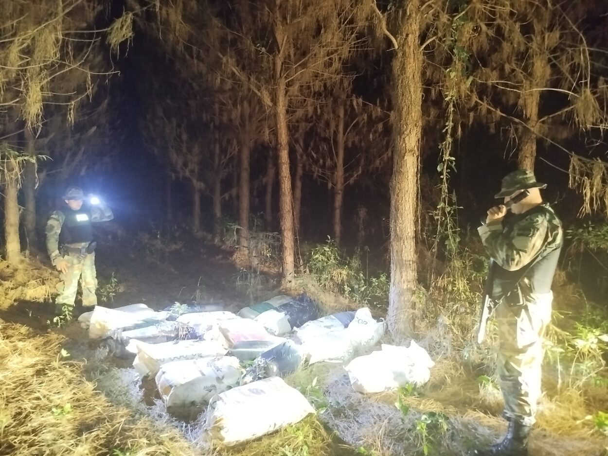 Abandonaron la ruta y los brotes: secuestran más de 174 kilos de marihuana en Corpus imagen-2