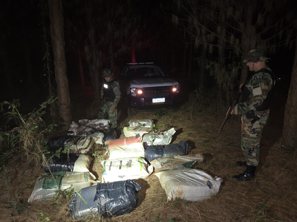 Abandonaron la ruta y los brotes: secuestran más de 174 kilos de marihuana en Corpus imagen-4