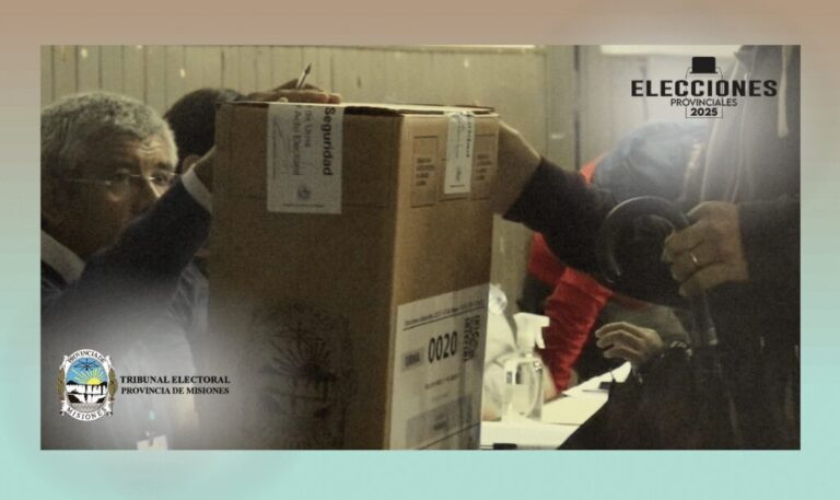 Elecciones Legislativas Provinciales 2025: se encuentra habilitado el formulario de Postulantes a Autoridades de Mesa imagen-50