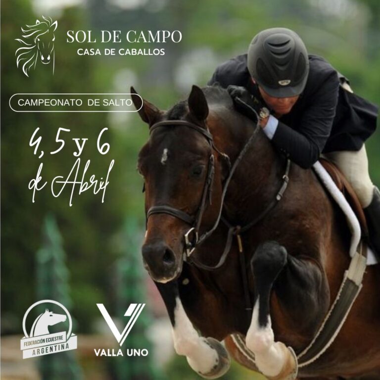 Posadas será sede de campeonatos de la Federación Ecuestre Argentina imagen-45