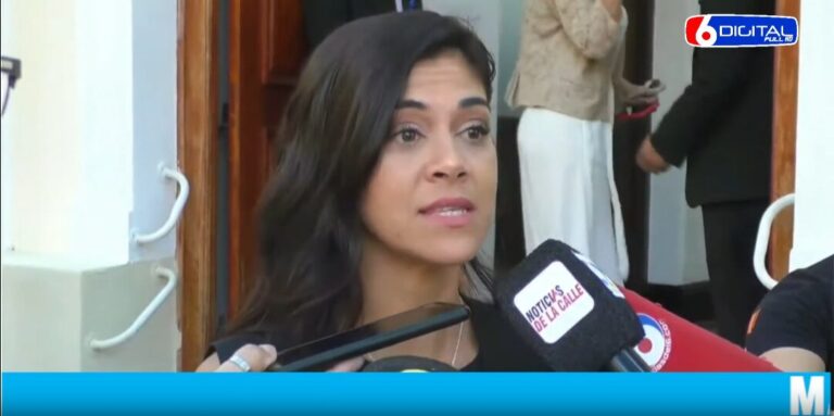 Apertura del HCD: "Queremos poder seguir recorriendo barrios y continuar con ordenanzas que puedan mejorar la vida de los posadeños" aseguró Mazal imagen-15