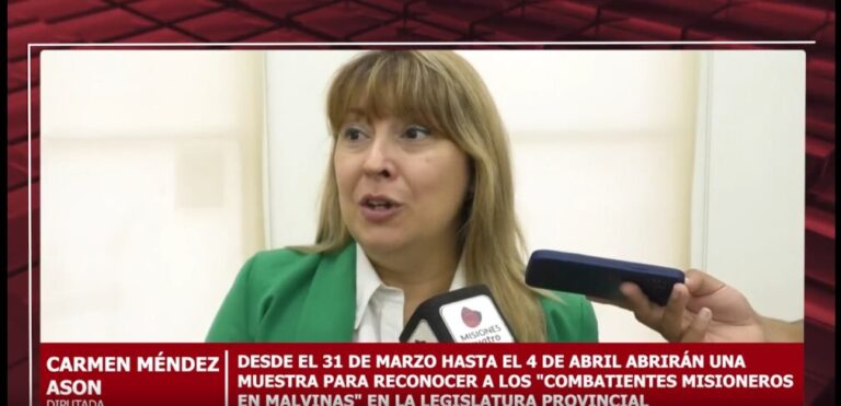 La Legislatura Provincial inaugurará una exposición para homenajear a los combatientes misioneros de Malvinas imagen-8