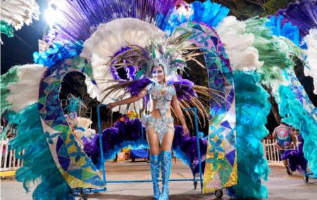 Carnaval 2025: viajaron 2,8 millones de turistas y gastaron $701.064 millones; Misiones, uno de los elegidos imagen-2