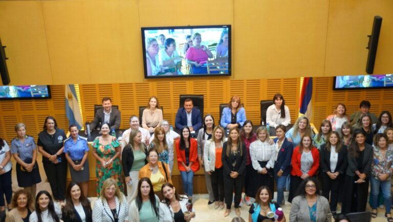 Legislatura: Presentaron la edición 2025 del Parlamento de la Mujer imagen-25