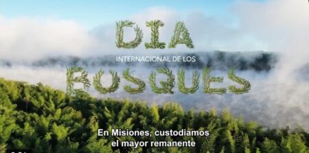 En el Día de los Bosques, Misiones reivindicó su política ambiental imagen-6