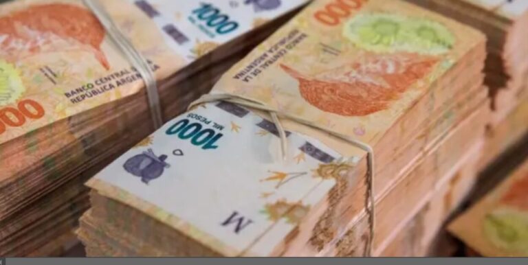 Misiones fue la provincia que obtuvo la mayor recuperación de los recursos de origen nacional imagen-18