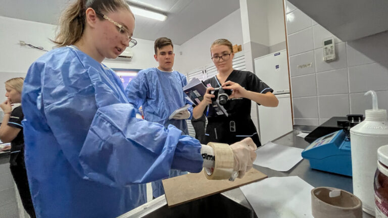 Estudiantes de Criminalística realizan prácticas forenses en el BioLab de la Agencia de Innovación imagen-44