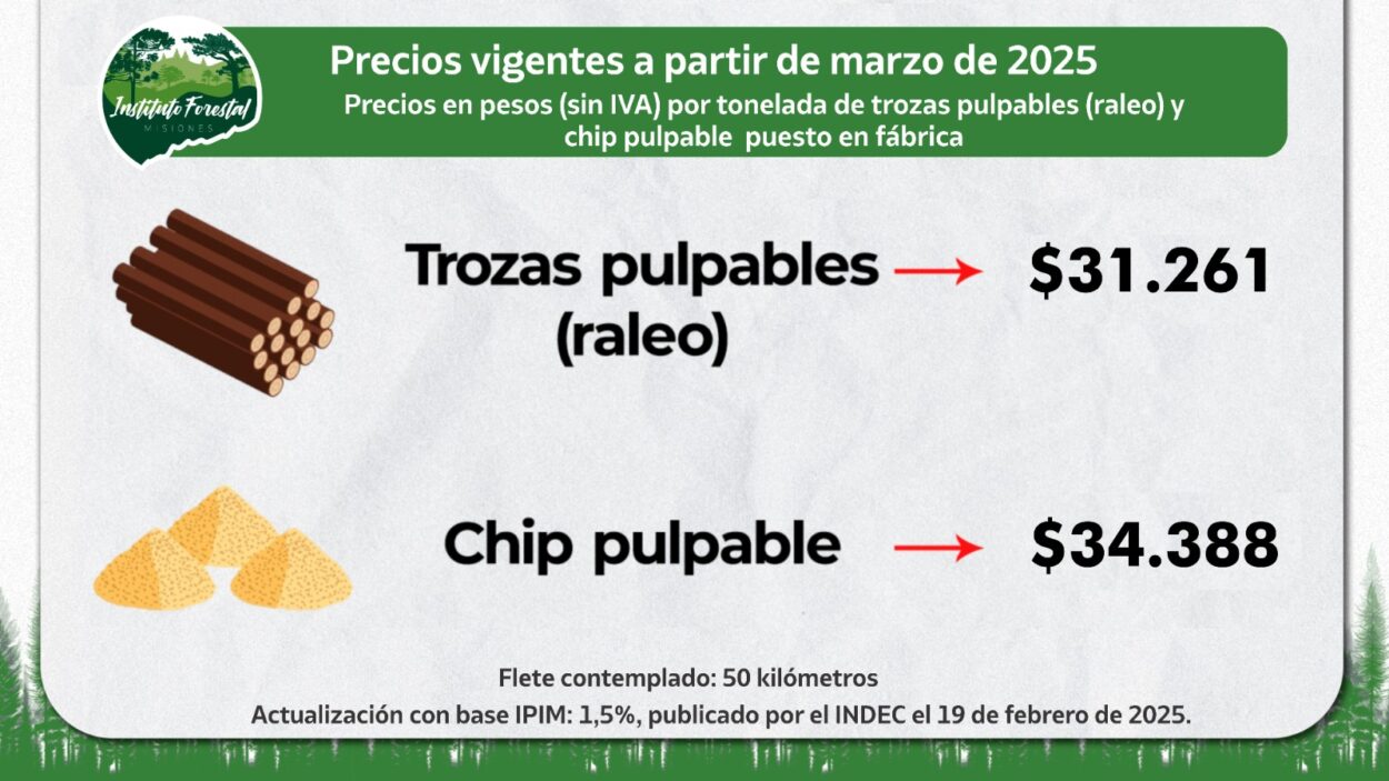 InFoPro: actualizan precios de la materia prima forestal imagen-2