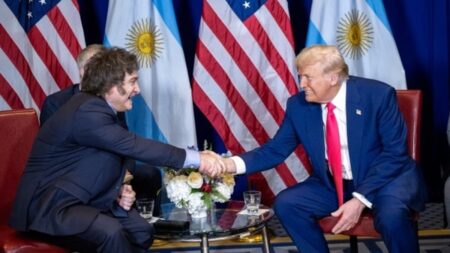 Tarifas recíprocas: si Trump las aplica y Milei adhiere, la Argentina debería bajar 60% los aranceles a los bienes importados de EEUU imagen-2