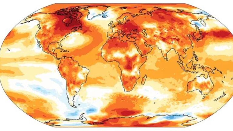 Día Mundial de Clima: la Tierra superó el umbral de los 1,5°C de calentamiento y 2024 ya es un año bisagra imagen-11