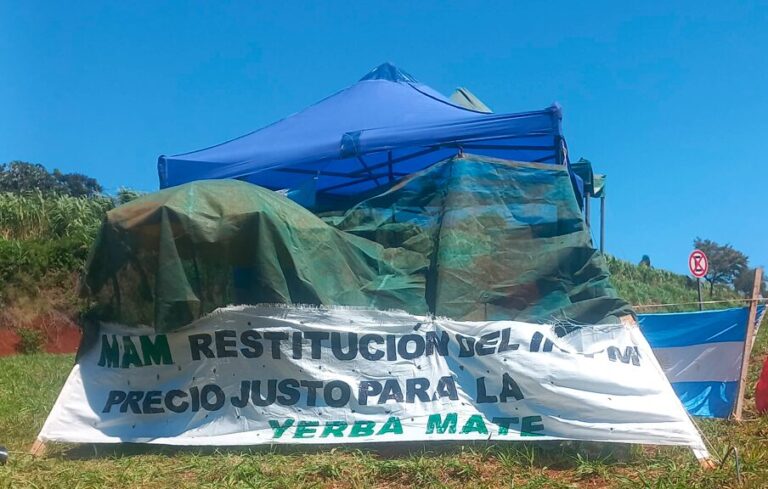 El Movimiento Agrario de Misiones (MAM) se suma a la lucha de los productores yerbateros imagen-7