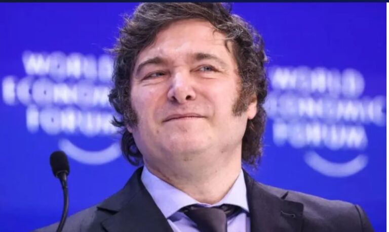 Encuesta: Economía, inseguridad y escándalos políticos, el gran triángulo de hierro que castiga la imagen del gobierno de Milei imagen-29