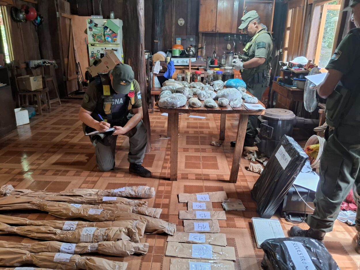 Inspeccionan un domicilio en zona rural de El Soberbio y detectan marihuana imagen-4