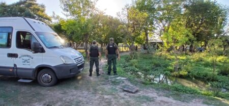 Inspeccionan un domicilio en zona rural de El Soberbio y detectan marihuana imagen-5