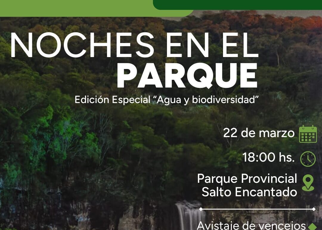 “Noches en el Parque”, una experiencia sensorial en la selva misionera para celebrar el Día del Agua imagen-15