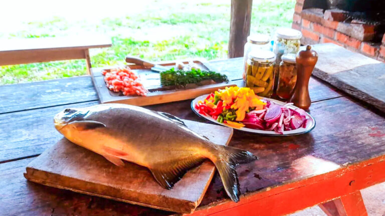 La piscicultura misionera: proyección de una producción en expansión imagen-31