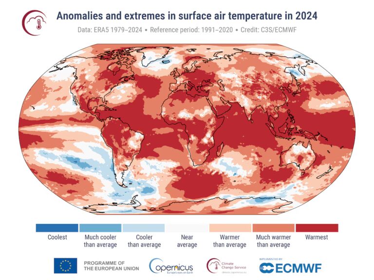 Efectos del cambio climático: Argentina registró la peor anomalía climática de Sudamérica con olas de calor extremo imagen-11