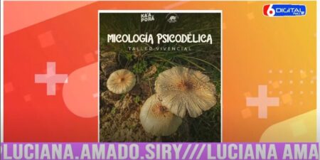 Ka’a Porá Agroecología realizará un nuevo encuentro sobre los usos terapéuticos de los hongos psicodélicos en Santa Ana imagen-5