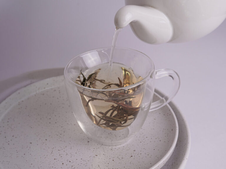 Avance clave para el sector tealero: el té blanco se incorpora al Código Alimentario Argentino imagen-47