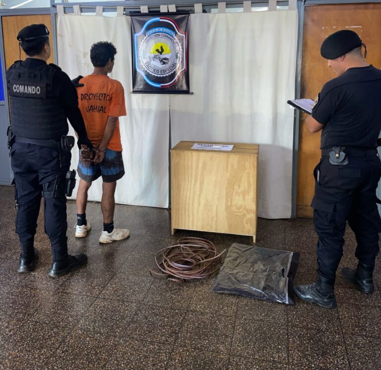 Cámaras del 911 frustraron el robo de cables del Paseo La Terminal de Posadas imagen-34