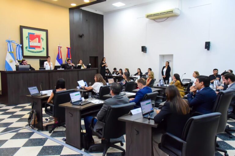 Con diversas iniciativas, comenzó un nuevo periodo legislativo en el Concejo Deliberante posadeño imagen-26