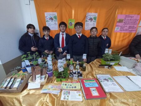 Misiones se prepara para recibir la Feria Nacional de Ciencias 2025 imagen-5