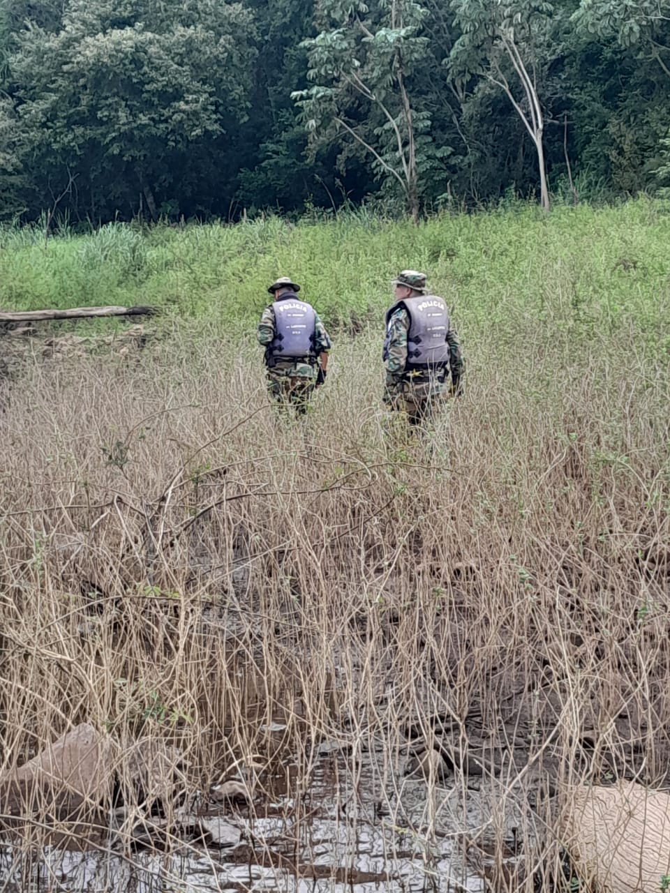 Policías de medio ambiente rescataron perros abandonados por cazadores en un islote imagen-2