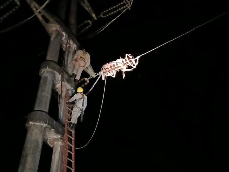 Energía de Misiones reparó la falla en la línea 132KV Roca-Oberá y se normalizó el suministro eléctrico imagen-4