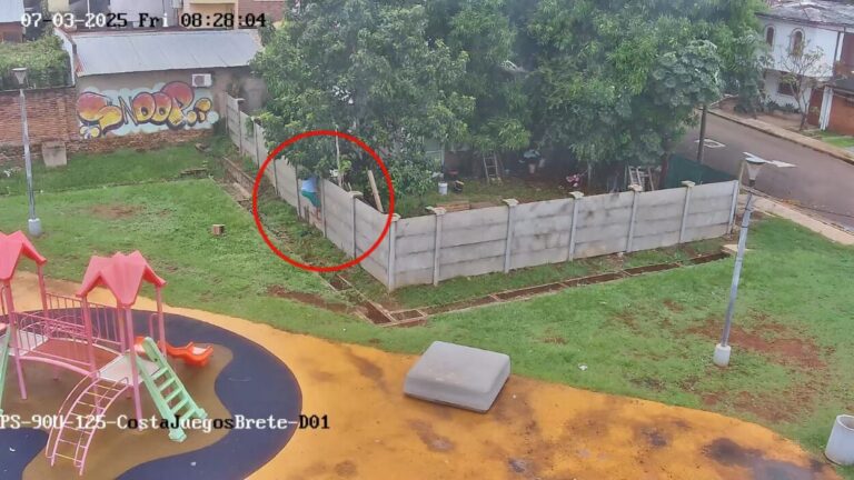 Las cámaras del 911 pusieron tras las rejas a dos ladrones en Posadas imagen-13