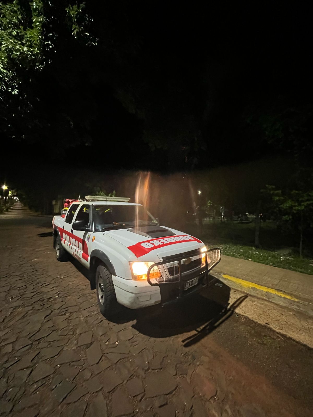 Con la moderna flota de vehículos de acción rápida bomberos extinguieron incendios en Posadas imagen-2